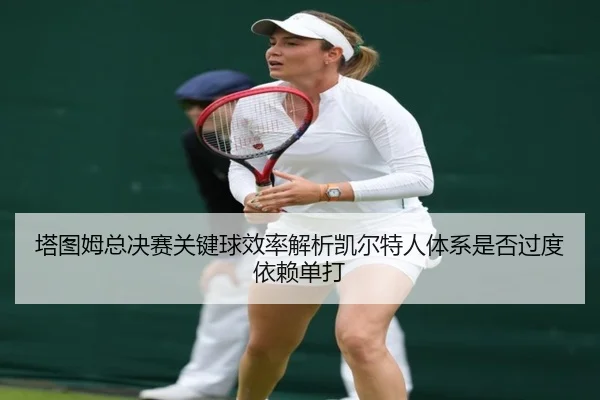 塔图姆总决赛关键球效率解析凯尔特人体系是否过度依赖单打（leyu sports）